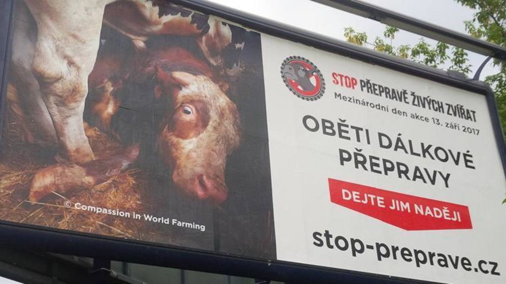 Une affiche d’annonce de la mobilisation en République tchèque. © Compassion in World Farming
